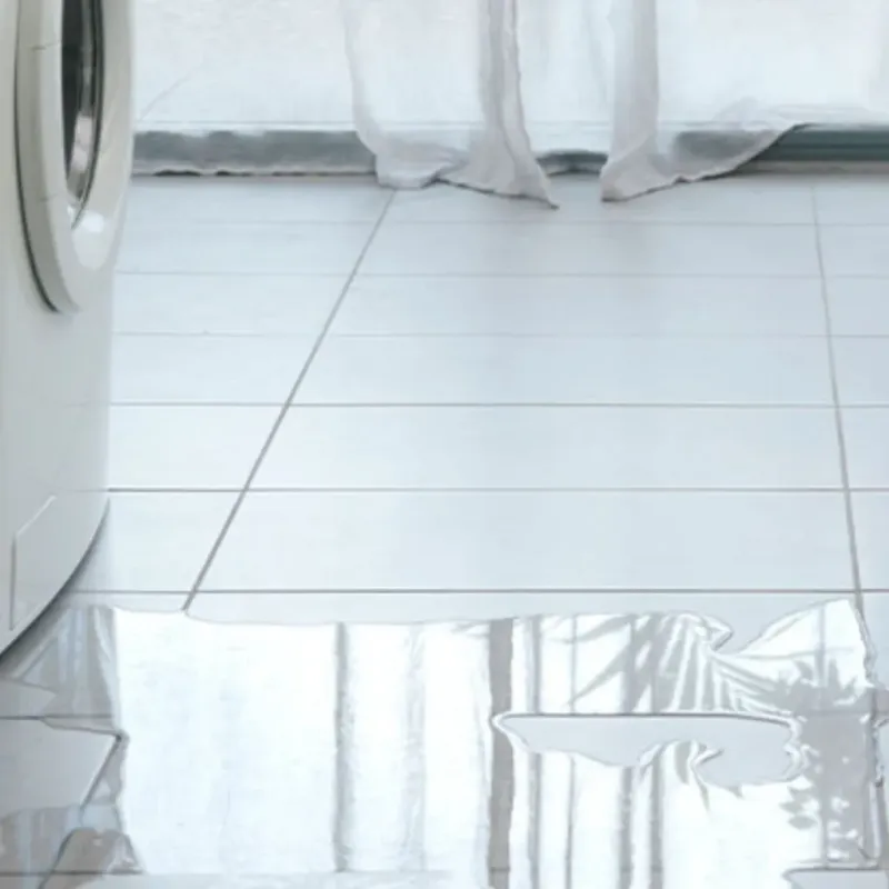 Appliance Leak Cleanup in Edwardsville, IL