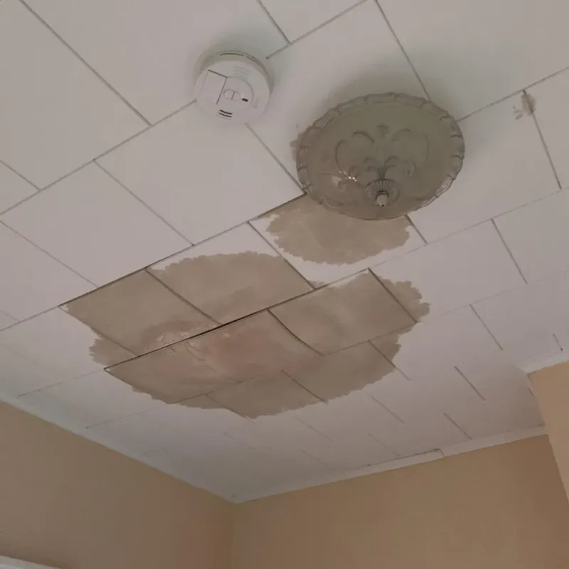 Ceiling Water Damage Repair in Edwardsville, IL