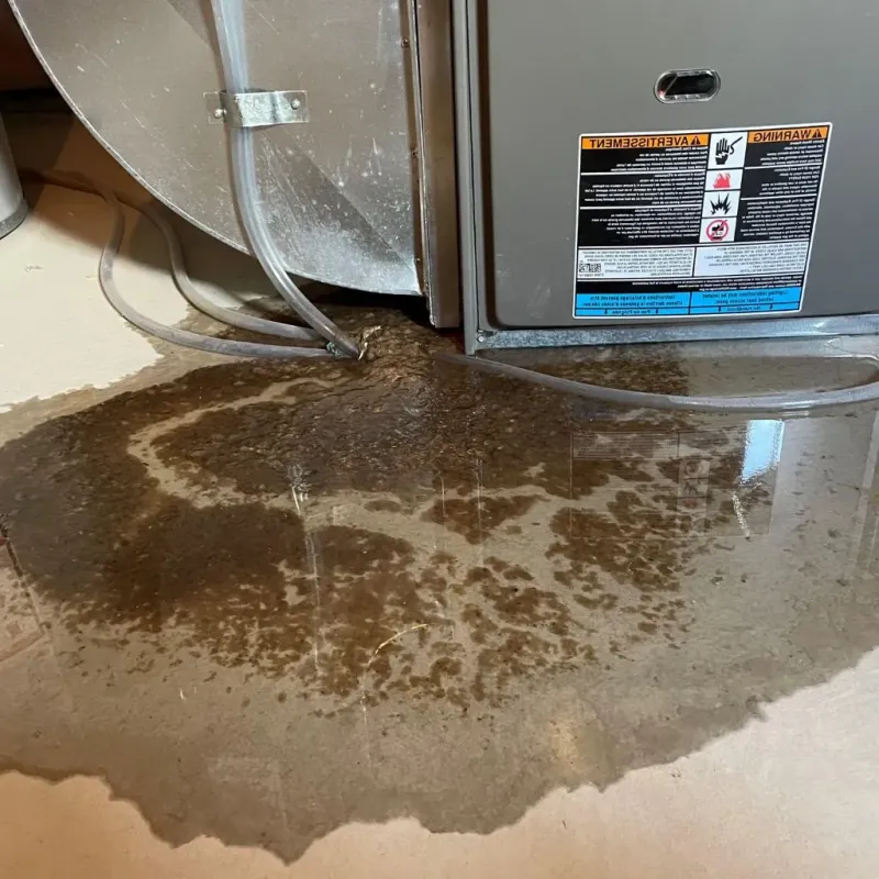Pipe Burst and Leak Restoration in Edwardsville, IL