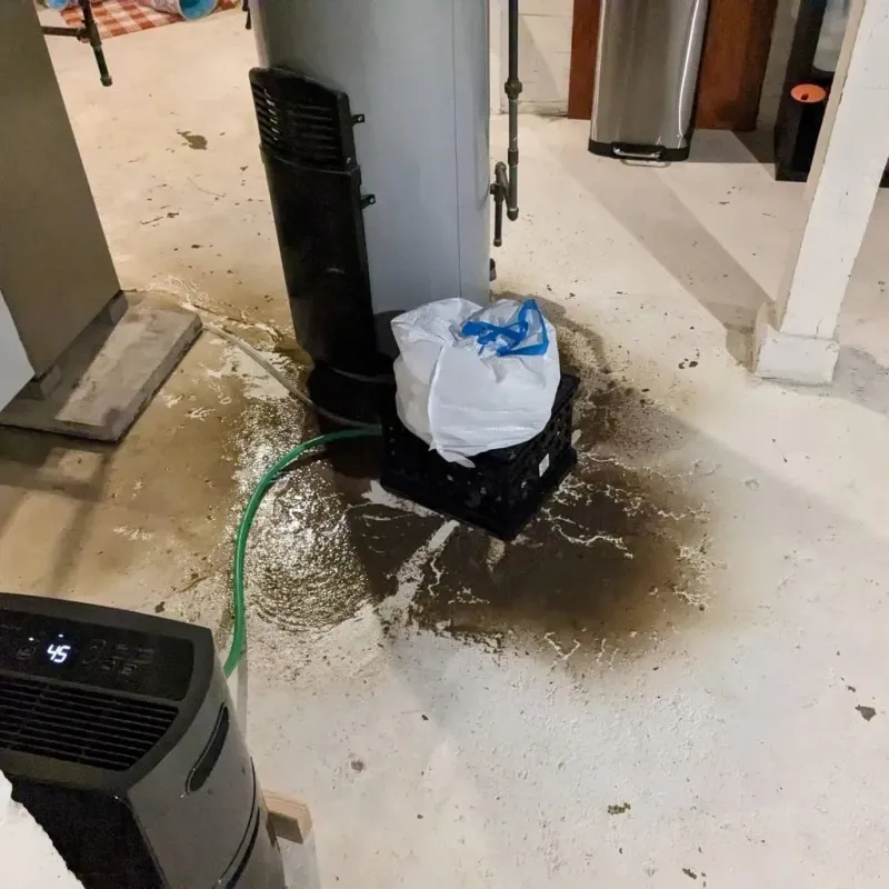 Sewage Backup Cleanup Service in Edwardsville, IL